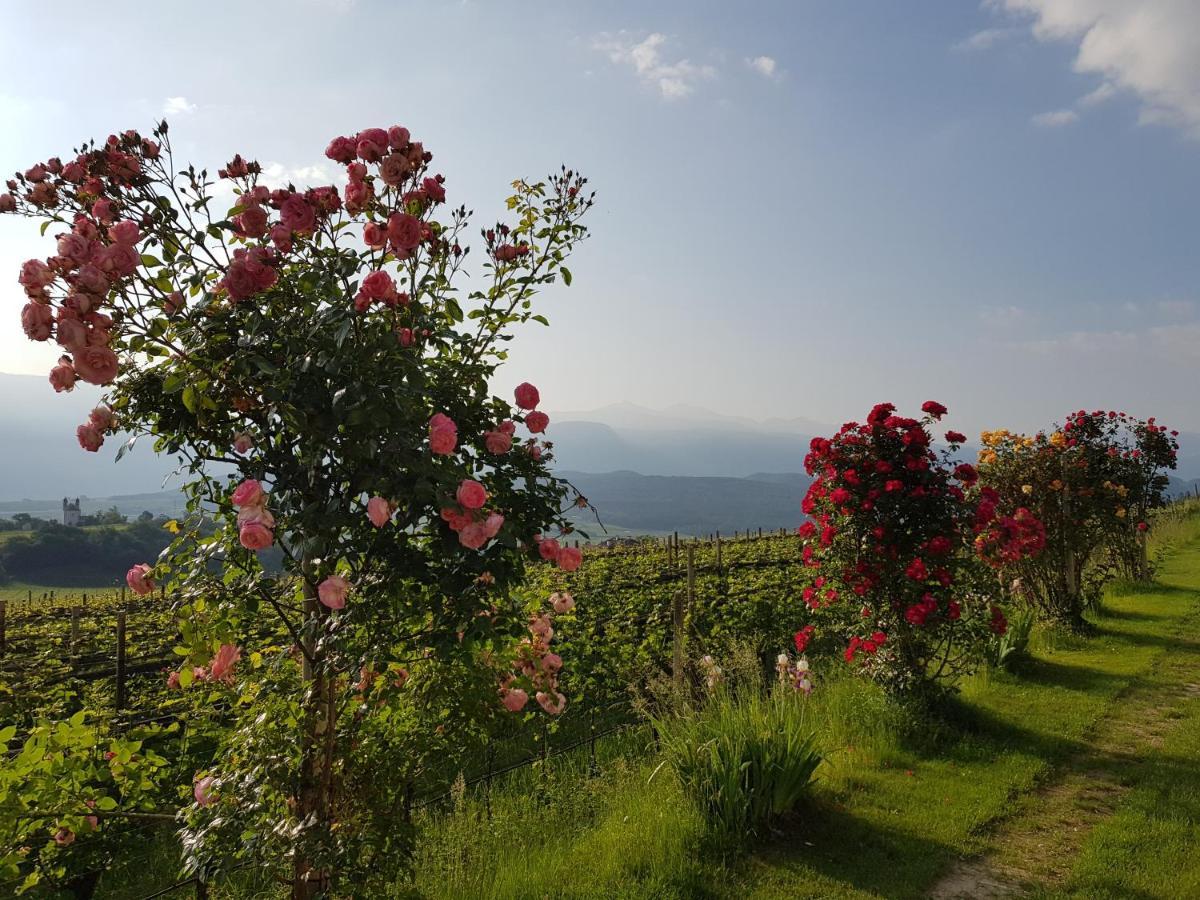 Das Matscher Residence & Garden Hotel Appiano Sulla Strada Del Vino Exteriér fotografie
