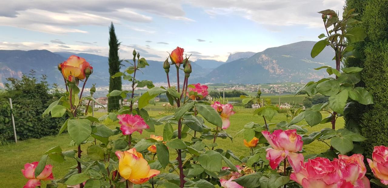 Das Matscher Residence & Garden Hotel Appiano Sulla Strada Del Vino Exteriér fotografie