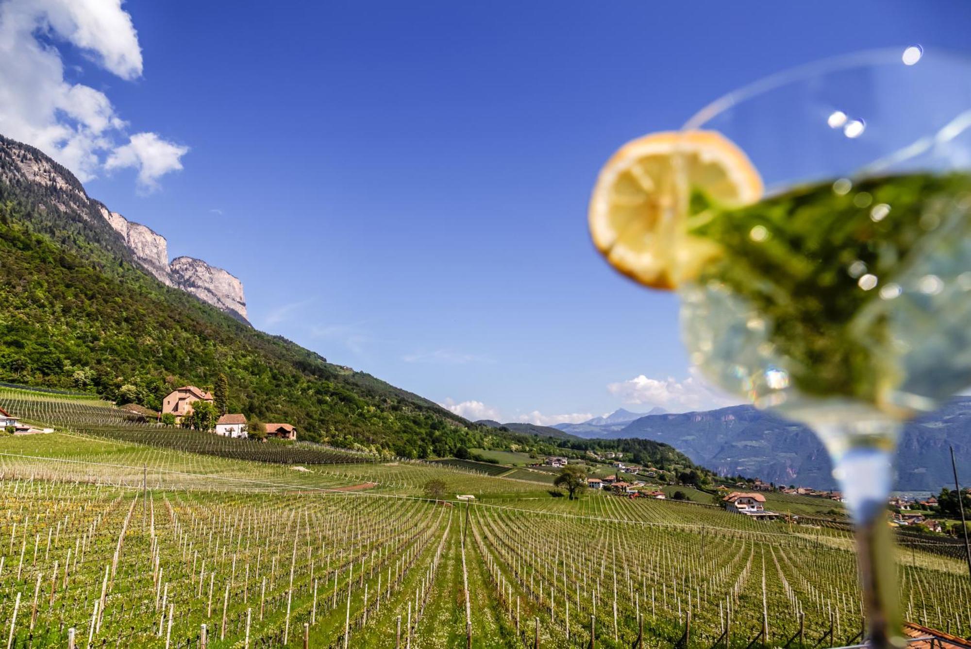Das Matscher Residence & Garden Hotel Appiano Sulla Strada Del Vino Exteriér fotografie