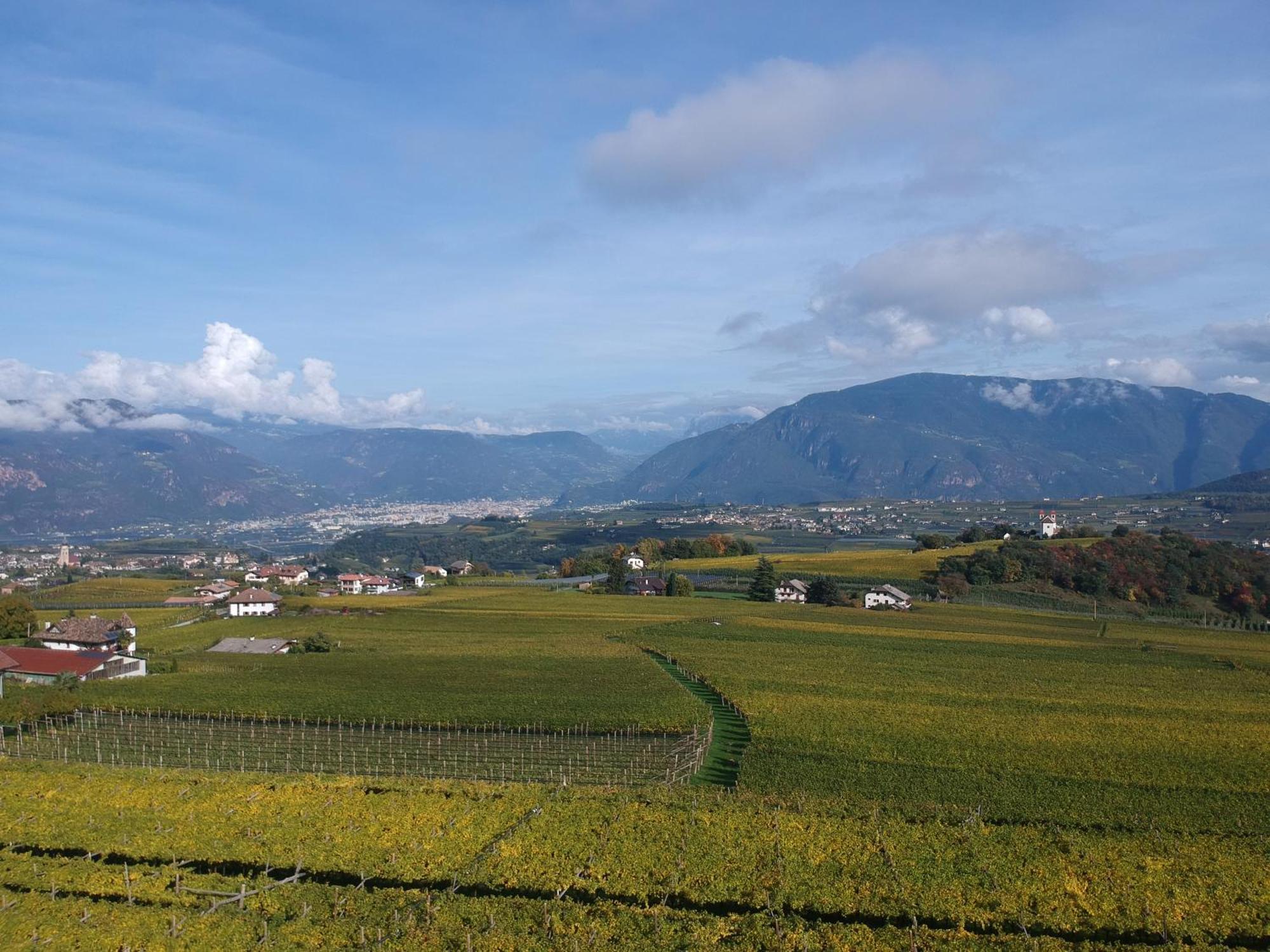 Das Matscher Residence & Garden Hotel Appiano Sulla Strada Del Vino Exteriér fotografie